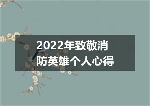 2022年致敬消防英雄个人心得