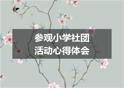 参观小学社团活动心得体会