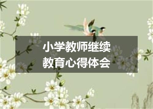 小学教师继续教育心得体会
