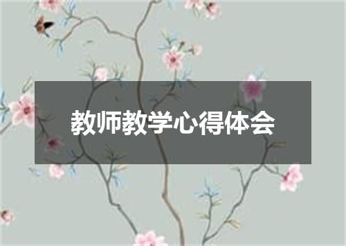 教师教学心得体会