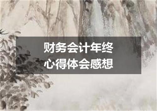 财务会计年终心得体会感想