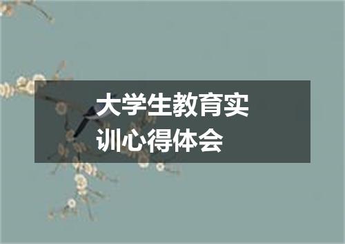 大学生教育实训心得体会
