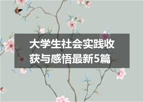 大学生社会实践收获与感悟最新5篇