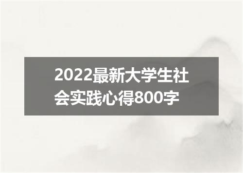 2022最新大学生社会实践心得800字