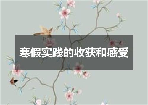 寒假实践的收获和感受