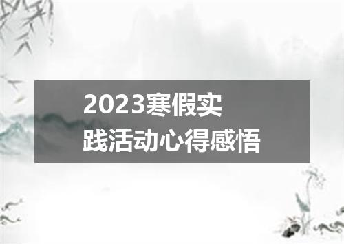2023寒假实践活动心得感悟