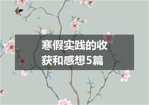 寒假实践的收获和感想5篇