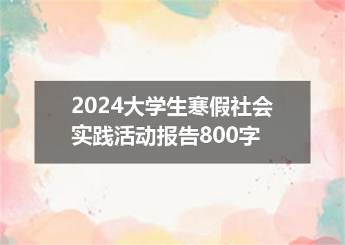 2024大学生寒假社会实践活动报告800字