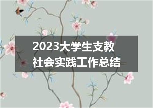 2023大学生支教社会实践工作总结
