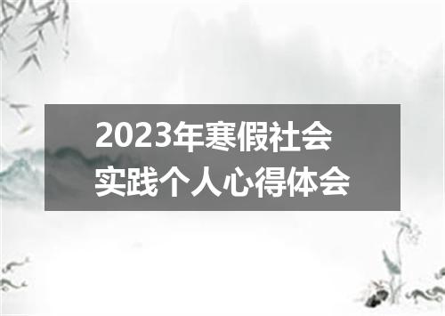 2023年寒假社会实践个人心得体会