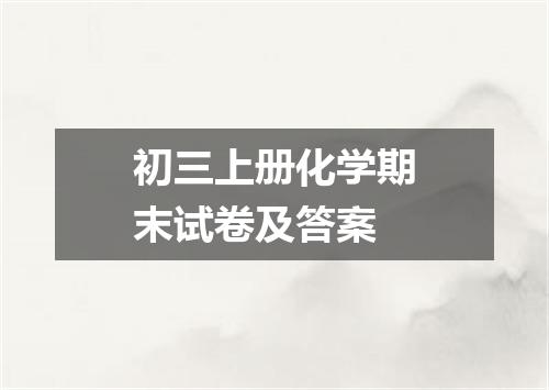 初三上册化学期末试卷及答案