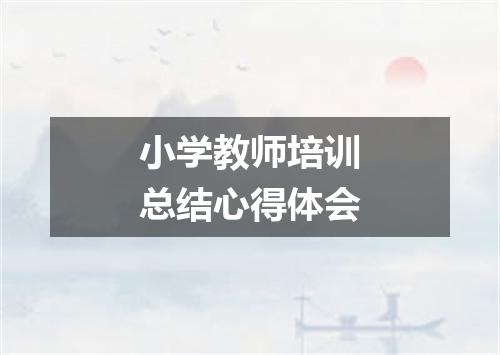 小学教师培训总结心得体会