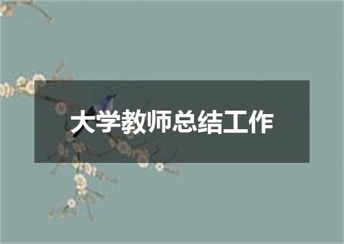 大学教师总结工作