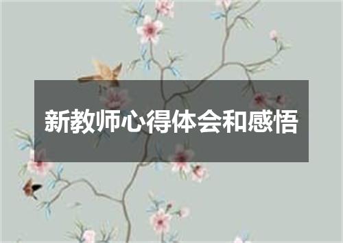 新教师心得体会和感悟