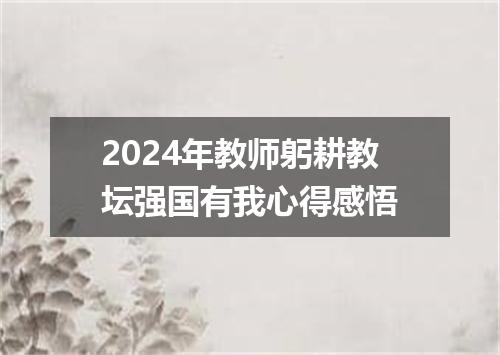 2024年教师躬耕教坛强国有我心得感悟