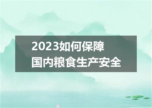 2023如何保障国内粮食生产安全
