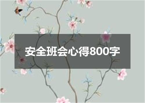 安全班会心得800字