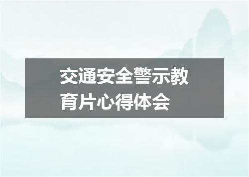 交通安全警示教育片心得体会