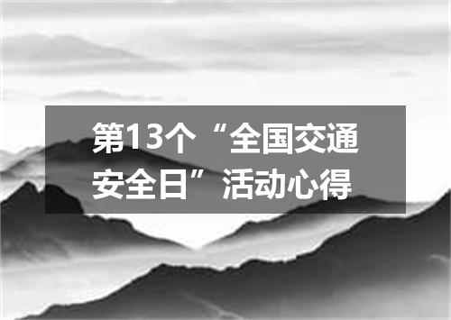 第13个“全国交通安全日”活动心得