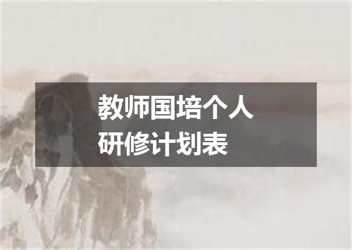 教师国培个人研修计划表
