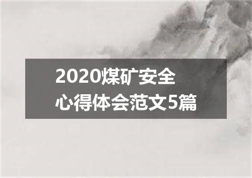 2020煤矿安全心得体会范文5篇