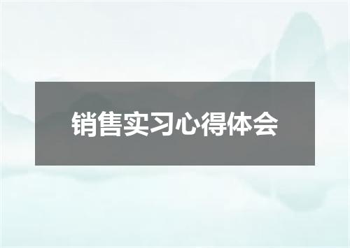 销售实习心得体会