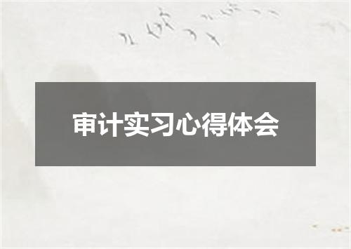 审计实习心得体会