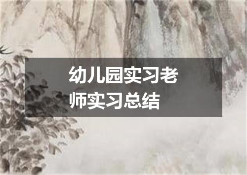 幼儿园实习老师实习总结
