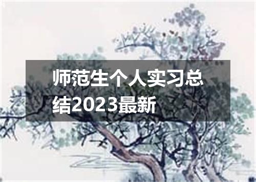 师范生个人实习总结2023最新