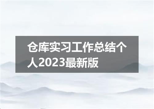 仓库实习工作总结个人2023最新版