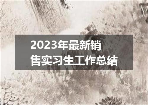 2023年最新销售实习生工作总结