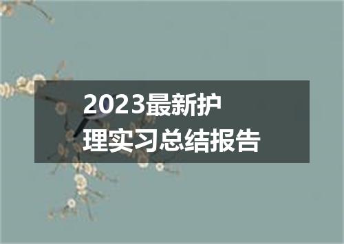 2023最新护理实习总结报告