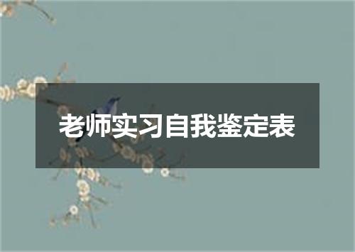 老师实习自我鉴定表