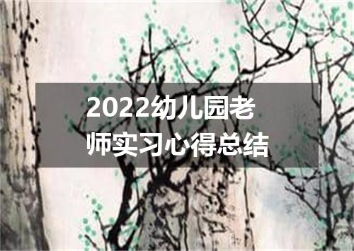 2022幼儿园老师实习心得总结