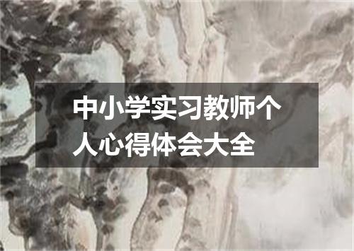 中小学实习教师个人心得体会大全