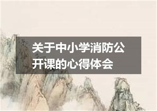 关于中小学消防公开课的心得体会