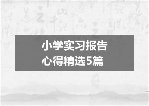 小学实习报告心得精选5篇