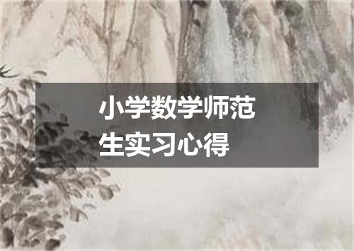 小学数学师范生实习心得