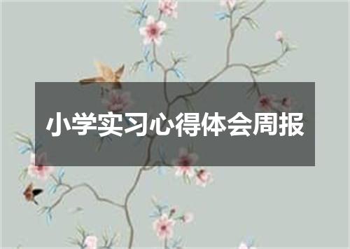 小学实习心得体会周报