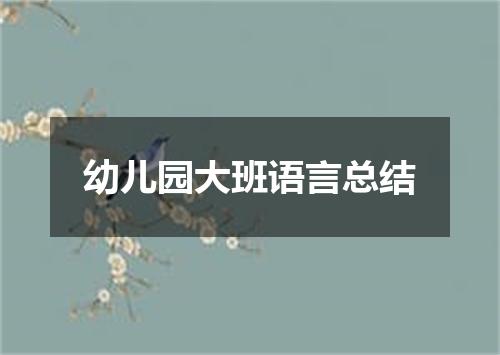 幼儿园大班语言总结