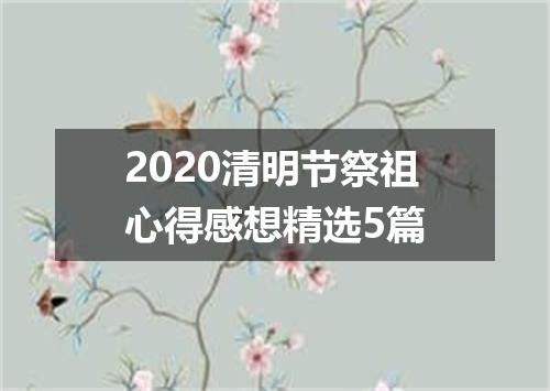 2020清明节祭祖心得感想精选5篇