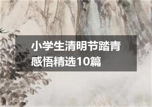 小学生清明节踏青感悟精选10篇