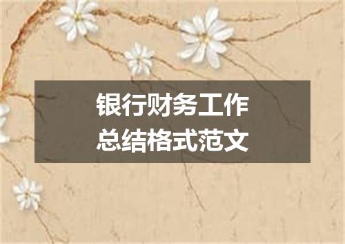 银行财务工作总结格式范文