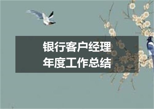 银行客户经理年度工作总结