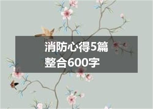 消防心得5篇整合600字