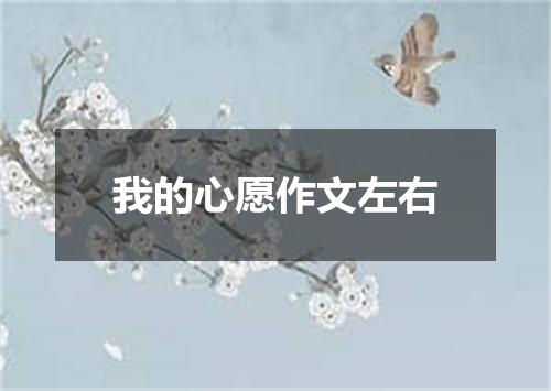 我的心愿作文左右