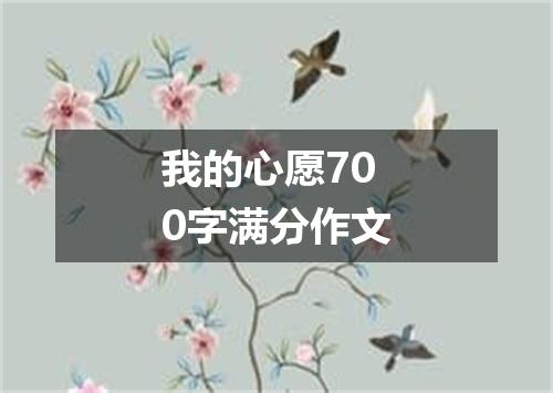 我的心愿700字满分作文