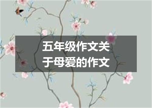 五年级作文关于母爱的作文