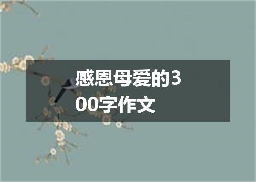感恩母爱的300字作文
