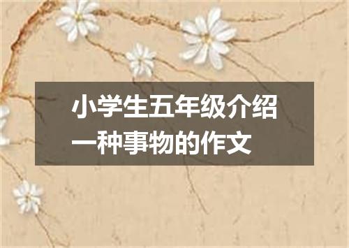 小学生五年级介绍一种事物的作文